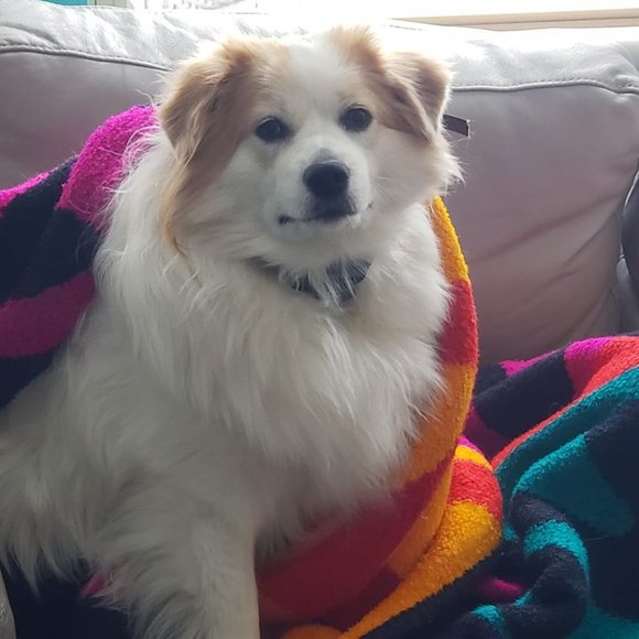 Meet your Posher, Jodi - Picture 5 of 5